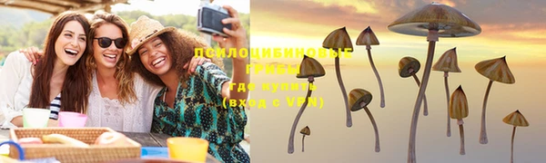 стафф Верея