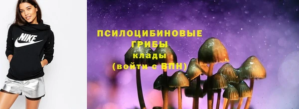 стафф Верея
