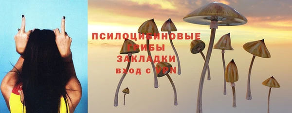 дурь Бугульма