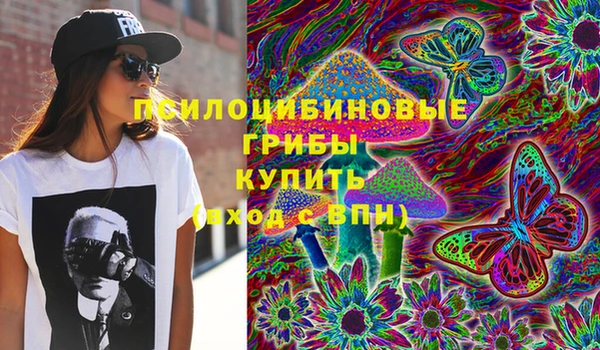 стафф Верея