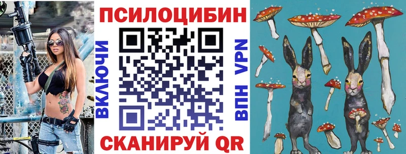где продают   Ульяновск  Псилоцибиновые грибы мицелий 